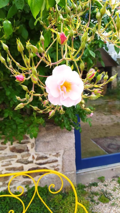 Ker Anahid - L'Atelier Bed & Breakfast Pleslin-Trigavou Bagian luar foto