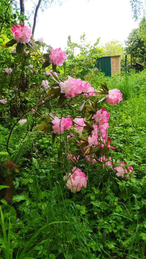 Ker Anahid - L'Atelier Bed & Breakfast Pleslin-Trigavou Bagian luar foto
