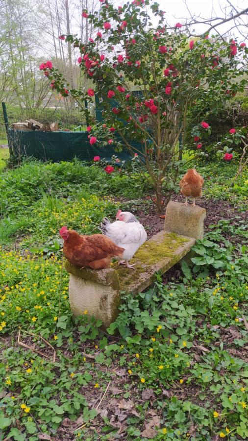 Ker Anahid - L'Atelier Bed & Breakfast Pleslin-Trigavou Bagian luar foto